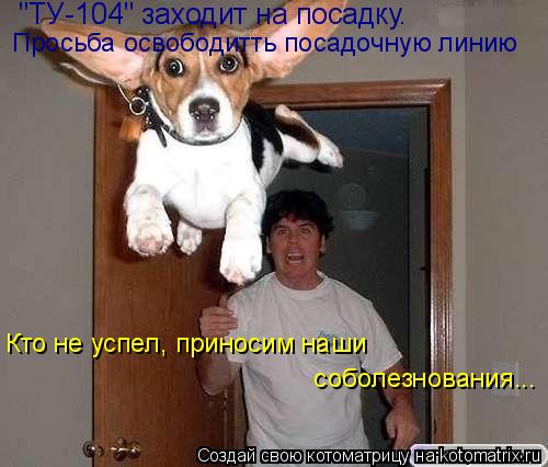 Котоматрица: "ТУ-104" заходит на посадку. Просьба освободитть посадочную линию Кто не успел, приносим наши  соболезнования...  соболезнования...