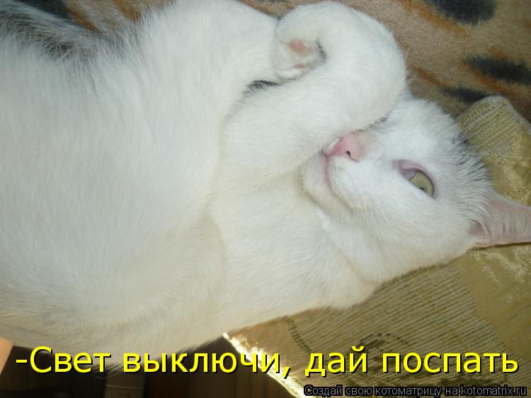 Котоматрица: -Свет выключи, дай поспать