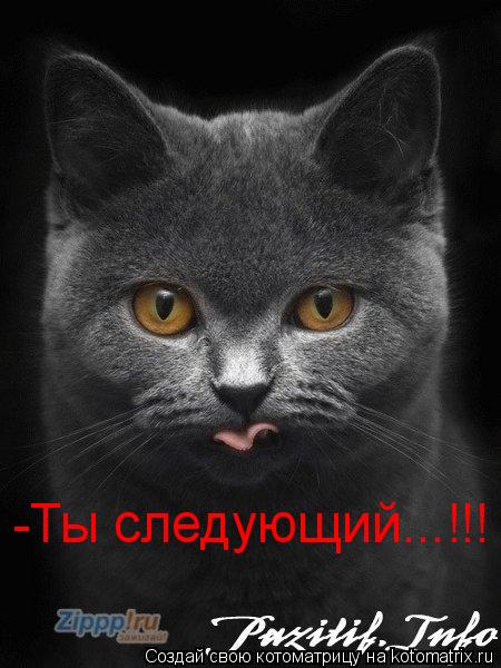 Котоматрица: -Ты следующий...!!!