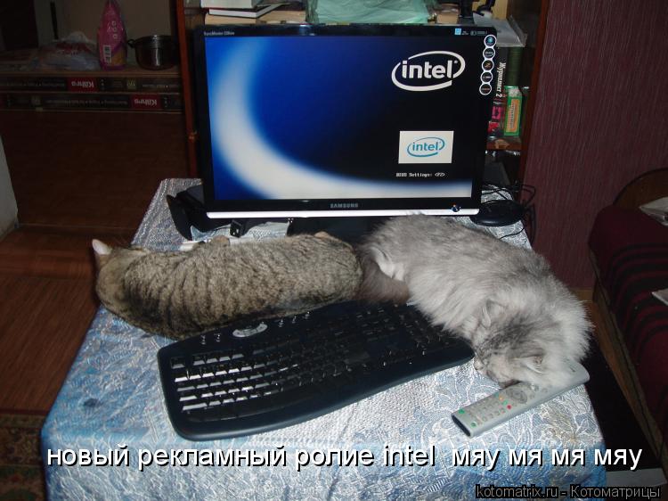 новый рекламный ролие intel мяу мя мя мяу... Котоматрица: новый рекламный ролие intel мяу мя мя мяу