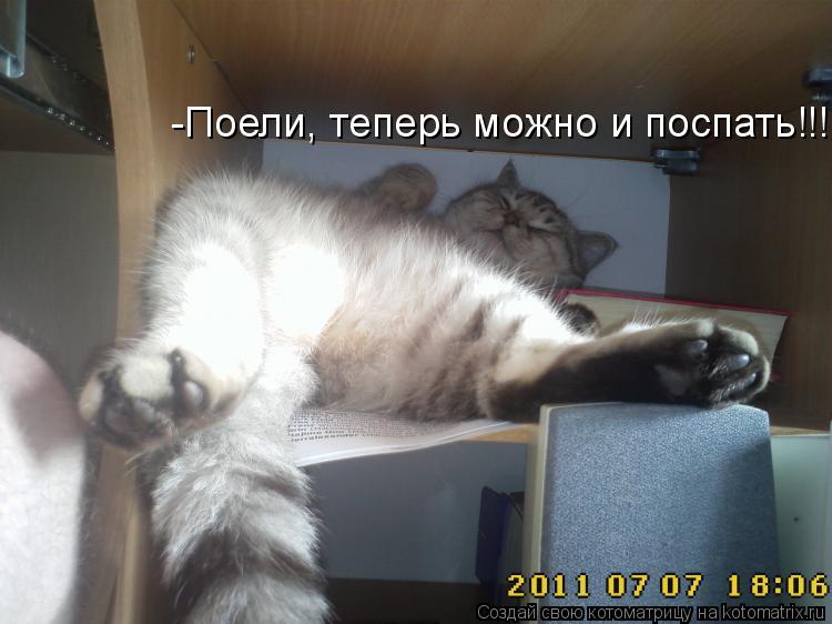 -Поели, теперь можно и поспать!!!... Котоматрица: -Поели, теперь можно и поспать!!!