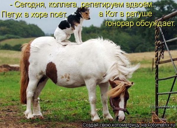 - Cегодня, коллега, репетируем вдвоём. Петух в хоре поёт, а Кот в ратуше гонорар обсуждает.... Котоматрица: - Cегодня, коллега, репетируем вдвоём. Петух в хоре поёт, а Кот в ратуше гонорар обсуждает.
