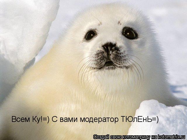 Всем Ку!=) С вами модератор ТЮлЕнЬ=)... Котоматрица: Всем Ку!=) С вами модератор ТЮлЕнЬ=)