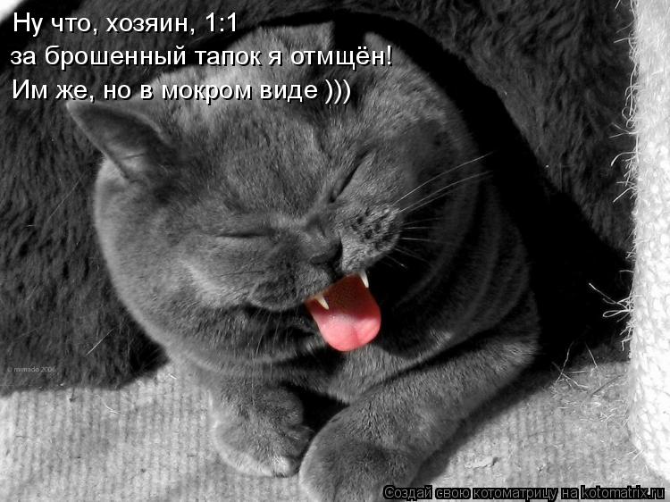 Ну что, хозяин, 1:1 за брошенный тапок я отмщён! Им же, но в мокром виде )))... Котоматрица: Ну что, хозяин, 1:1 за брошенный тапок я отмщён! Им же, но в мокром виде )))