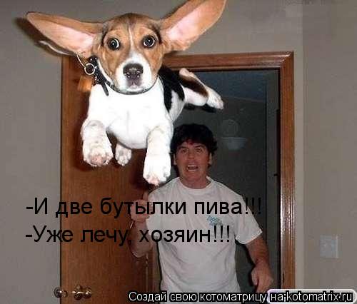 -И две бутылки пива!!! -Уже лечу, хозяин!!!... Котоматрица: -И две бутылки пива!!! -Уже лечу, хозяин!!!