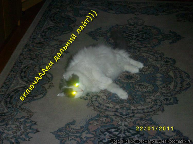 включАААем дальний лайт)))... Котоматрица: включАААем дальний лайт)))