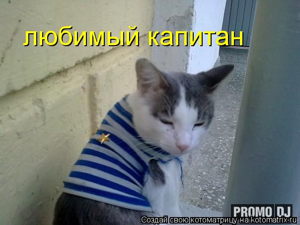 Котоматрица: любимый капитан