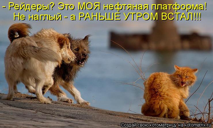 Котоматрица: - Рейдеры? Это МОЯ нефтяная платформа! Не наглый - а РАНЬШЕ УТРОМ ВСТАЛ!!!