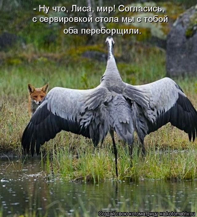 - Ну что, Лиса, мир! Согласись, с сервировкой стола мы с тобой оба переборщили.... Котоматрица: - Ну что, Лиса, мир! Согласись, с сервировкой стола мы с тобой оба переборщили.