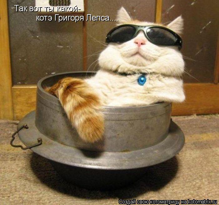 Так вот ты какой- котэ Григоря Лепса....... Котоматрица: Так вот ты какой- котэ Григоря Лепса....