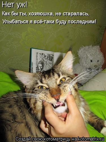 Нет уж! Улыбаться я всё-таки буду последним! Как бы ты, хозяюшка, не старалась,... Котоматрица: Нет уж! Улыбаться я всё-таки буду последним! Как бы ты, хозяюшка, не старалась,