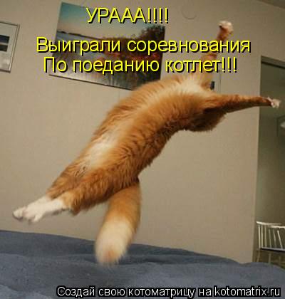 УРААА!!!! Выиграли соревнования По поеданию котлет!!!... Котоматрица: УРААА!!!! Выиграли соревнования По поеданию котлет!!!