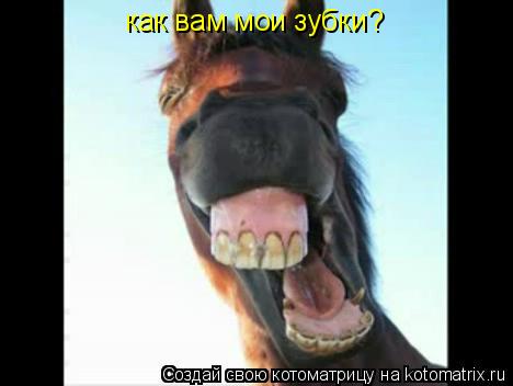 как вам мои зубки?... Котоматрица: как вам мои зубки?