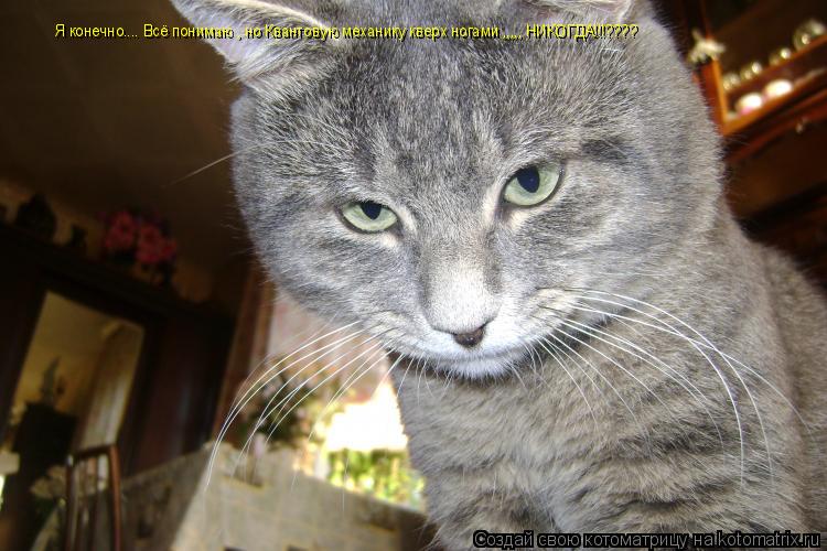 Я конечно.... Всё понимаю , но Квантовую механику кверх ногами ,,,,, НИКОГДА!!!????... Котоматрица: Я конечно.... Всё понимаю , но Квантовую механику кверх ногами ,,,,, НИКОГДА!!!????