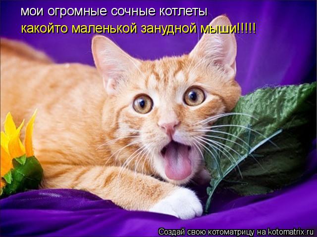 мои огромные сочные котлеты какойто маленькой занудной мыши!!!!! какойто маленькой занудной мыши!!!!... Котоматрица: мои огромные сочные котлеты какойто маленькой занудной мыши!!!!! какойто маленькой занудной мыши!!!!!