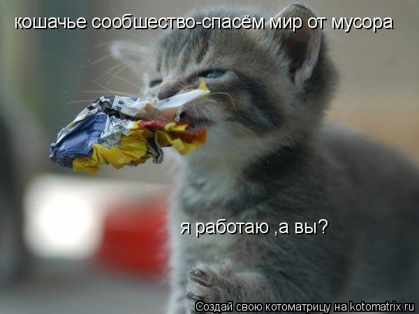 кошачье сообшество-спасём мир от мусора я работаю ,а вы?... Котоматрица: кошачье сообшество-спасём мир от мусора я работаю ,а вы?