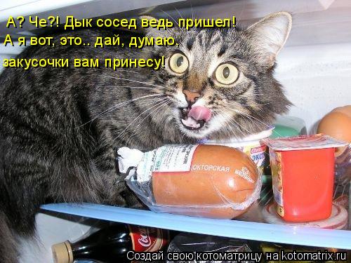 А? Че?! Дык сосед ведь пришел! А я вот, это.. дай, думаю, закусочки вам принесу!... Котоматрица: А? Че?! Дык сосед ведь пришел! А я вот, это.. дай, думаю, закусочки вам принесу!