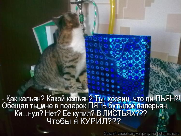 - Как кальян? Какой кальян? Ты, хозяин, что ли ПЬЯН?! Обещал ты мне в подарок ПЯТЬ бутылок валерьян..... Котоматрица: - Как кальян? Какой кальян? Ты, хозяин, что ли ПЬЯН?! Обещал ты мне в подарок ПЯТЬ бутылок валерьян... Ки...нул? Нет? Её купил? В ЛИСТЬЯХ??? Чтобы я К