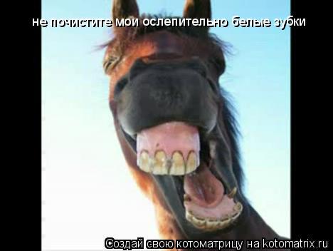 не почистите мои ослепительно белые зубки... Котоматрица: не почистите мои ослепительно белые зубки