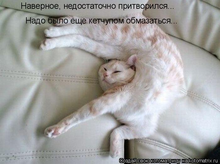 Надо было еще кетчупом обмазаться... Наверное, недостаточно притворился...... Котоматрица: Надо было еще кетчупом обмазаться... Наверное, недостаточно притворился...