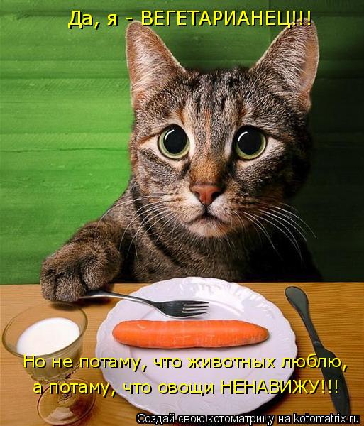 Да, я - ВЕГЕТАРИАНЕЦ!!! Но не потаму, что животных люблю, а потаму, что овощи НЕНАВИЖУ!!!... Котоматрица: Да, я - ВЕГЕТАРИАНЕЦ!!! Но не потаму, что животных люблю, а потаму, что овощи НЕНАВИЖУ!!!