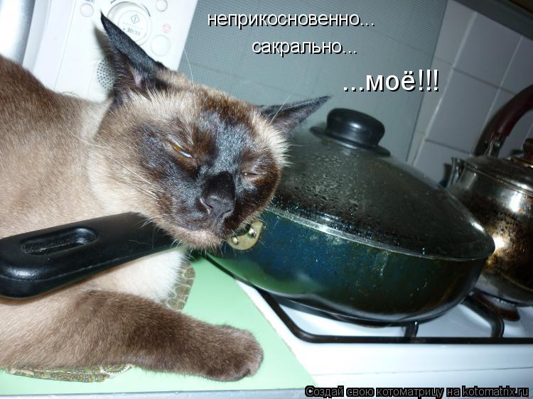 неприкосновенно... сакрально... ...моё!!!... Котоматрица: неприкосновенно... сакрально... ...моё!!!