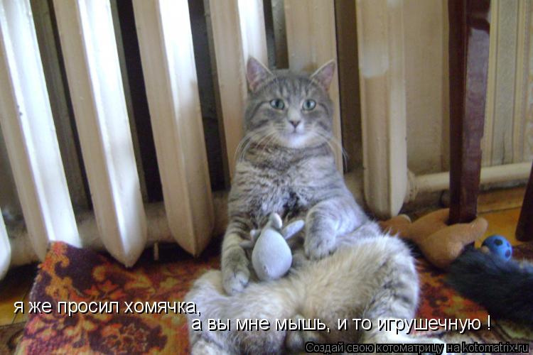 я же просил хомячка, а вы мне мышь, и то игрушечную !... Котоматрица: я же просил хомячка, а вы мне мышь, и то игрушечную !