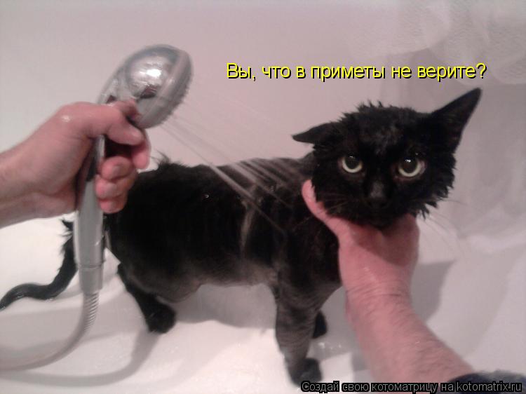 Котоматрица: Вы, что в приметы не верите?