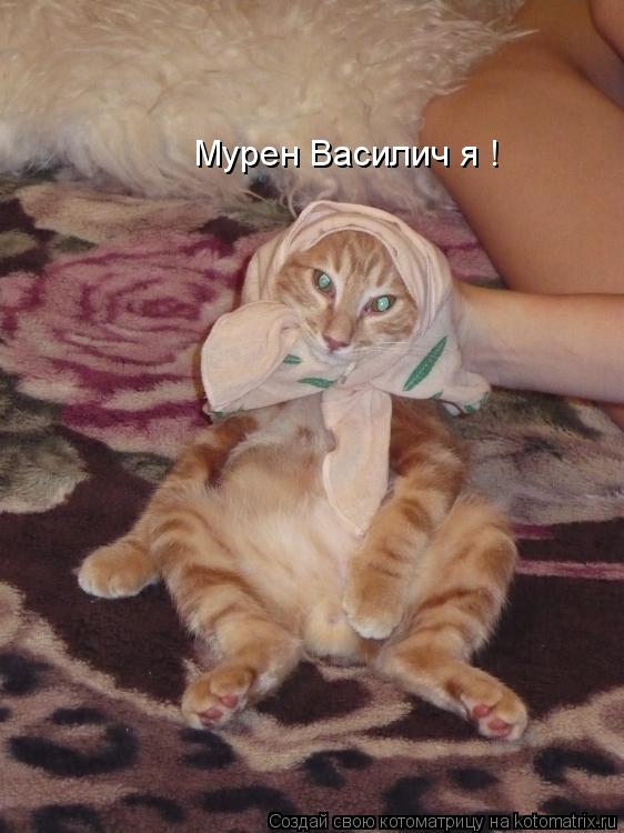 Мурен Василич я !... Котоматрица: Мурен Василич я !