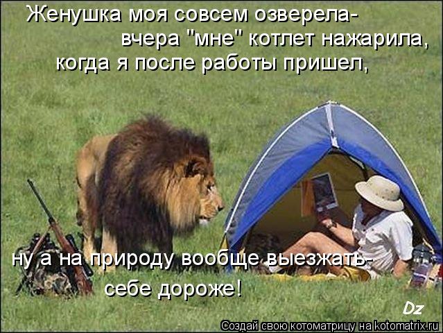 Котоматрица: Женушка моя совсем озверела- вчера "мне" котлет нажарила,  себе дороже! когда я после работы пришел, ну а на природу вообще выезжать-