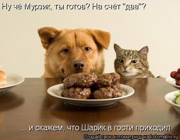 Котоматрица: Ну чё Мурзик, ты готов? На счёт "два"? ... и скажем, что Шарик в гости приходил