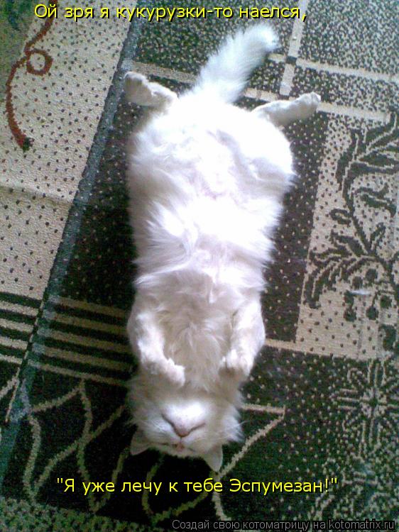 Ой зря я кукурузки-то наелся, "Я уже лечу к тебе Эспумезан!"... Котоматрица: Ой зря я кукурузки-то наелся, "Я уже лечу к тебе Эспумезан!"