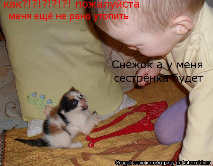 Снежок а у меня сестрёнка будет меня ещё не рано утопить как?!?!?!?!?! пожалуйста... Котоматрица: Снежок а у меня сестрёнка будет меня ещё не рано утопить как?!?!?!?!?! пожалуйста