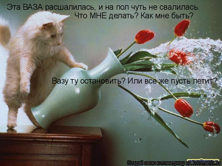 Эта ВАЗА расшалилась, и на пол чуть не свалилась. Что МНЕ делать? Как мне быть? Вазу ту остановить? И... Котоматрица: Эта ВАЗА расшалилась, и на пол чуть не свалилась. Что МНЕ делать? Как мне быть? Вазу ту остановить? Или все же пусть летит?