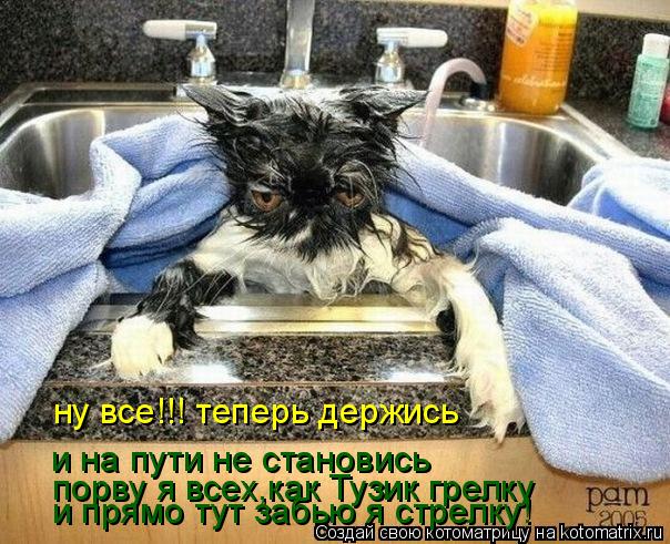 ну все!!! теперь держись и на пути не становись порву я всех,как Тузик грелку и прямо тут забью я стр... Котоматрица: ну все!!! теперь держись и на пути не становись порву я всех,как Тузик грелку и прямо тут забью я стрелку!