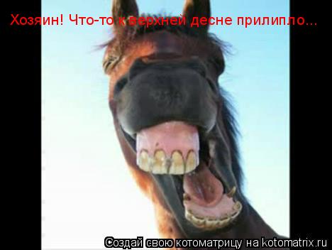 Хозяин! Что-то к верхней десне прилипло...... Котоматрица: Хозяин! Что-то к верхней десне прилипло...