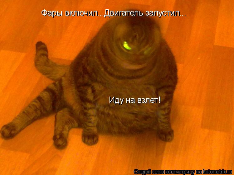 Фары включил...Двигатель запустил... Иду на взлет!... Котоматрица: Фары включил...Двигатель запустил... Иду на взлет!