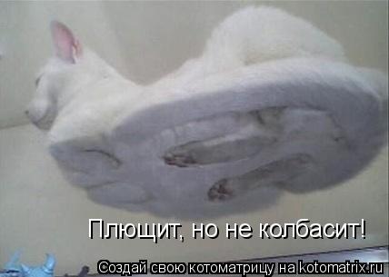 Плющит, но не колбасит!... Котоматрица: Плющит, но не колбасит!