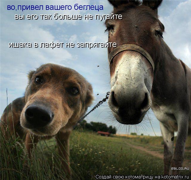 во,привел вашего беглеца вы его так больше не пугайте ишака в лафет не запрягайте... Котоматрица: во,привел вашего беглеца вы его так больше не пугайте ишака в лафет не запрягайте