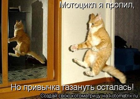 Мотоцикл я пропил, Но привычка газануть осталась!... Котоматрица: Мотоцикл я пропил, Но привычка газануть осталась!