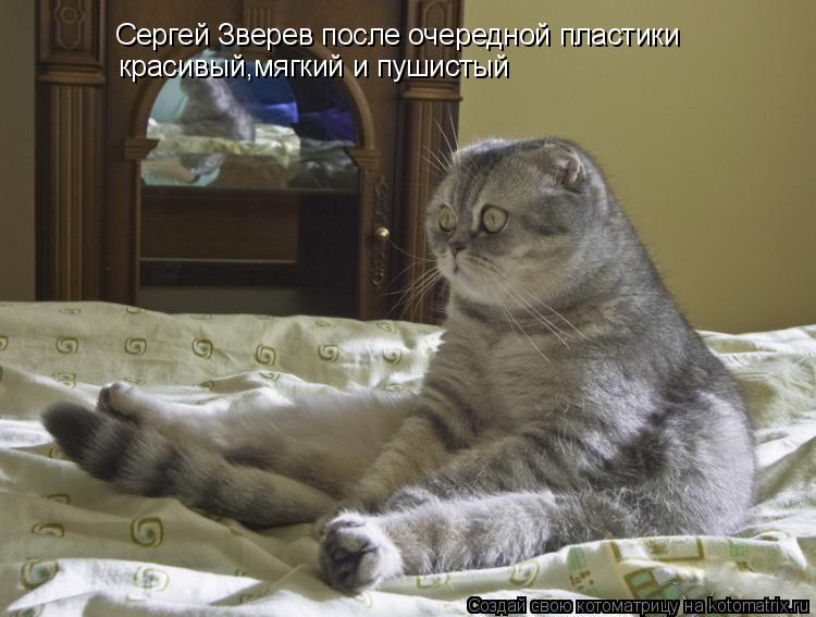 Котоматрица: Сергей Зверев после очередной пластики красивый,мягкий и пушистый