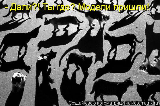 Котоматрица: - Дали?! Ты где? Модели пришли!