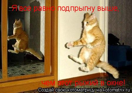 Котоматрица: Я все равно подпрыгну выше, чем этот рыжий в окне!