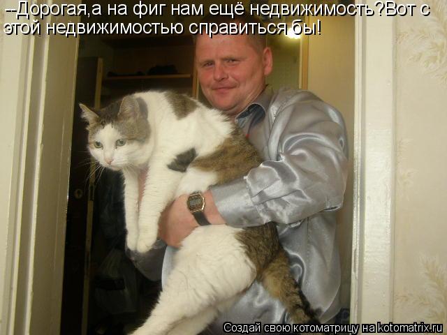 Котоматрица: --Дорогая,а на фиг нам ещё недвижимость?Вот с этой недвижимостью справиться бы!