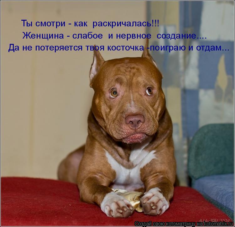 Котоматрица: Ты смотри - как  раскричалась!!! Женщина - слабое  и нервное  создание.... Да не потеряется твоя косточка -поиграю и отдам...