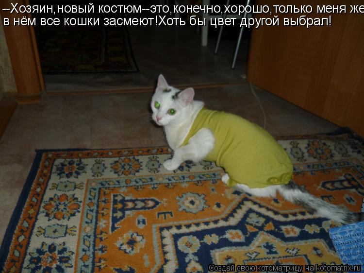 Котоматрица: --Хозяин,новый костюм--это,конечно,хорошо,только меня же в нём все кошки засмеют!Хоть бы цвет другой выбрал!