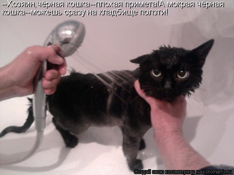--Хозяин,чёрная кошка--плохая примета!А мокрая чёрная кошка--можешь сразу на кладбище ползти!... Котоматрица: --Хозяин,чёрная кошка--плохая примета!А мокрая чёрная кошка--можешь сразу на кладбище ползти!