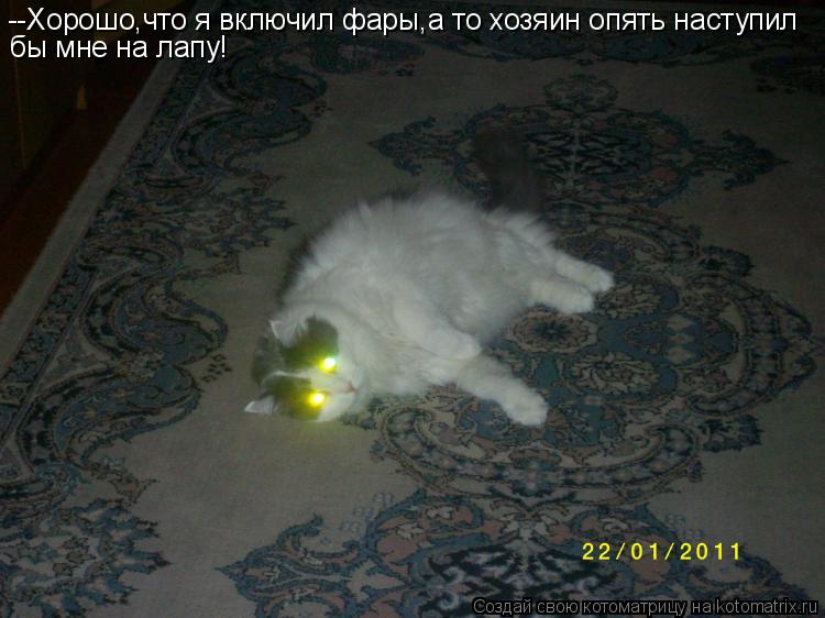 --Хорошо,что я включил фары,а то хозяин опять наступил бы мне на лапу!... Котоматрица: --Хорошо,что я включил фары,а то хозяин опять наступил бы мне на лапу!