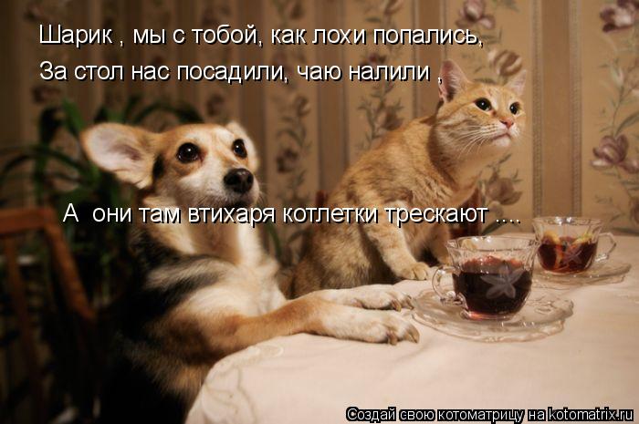 Шарик , мы с тобой, как лохи попались, За стол нас посадили, чаю налили , А они там втихаря котлетки... Котоматрица: Шарик , мы с тобой, как лохи попались, За стол нас посадили, чаю налили , А они там втихаря котлетки трескают ....