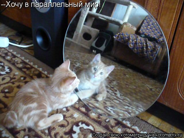 --Хочу в параллельный мир!... Котоматрица: --Хочу в параллельный мир!